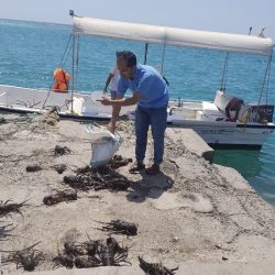 كلية ابن سينا الطبية تنظم الأسبوع الخليجي العاشر الموحد عن صحة الفم والأسنان بجدة