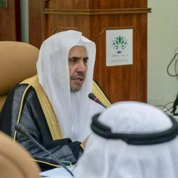 217 مستفيدًا من خدمات جناح الأحوال المدنية في مهرجان ليالي رمضان 
