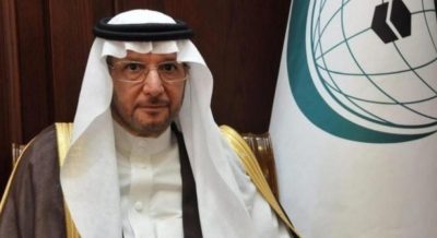 “العثيمين”: نأمل في حوار باكستاني- هندي حقيقي لمعالجة قضية جامو وكشمير