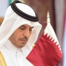 تحدث مرة كل 5 مليارات حالة حمل.. امرأة تضع 6 توائم   