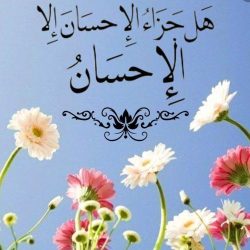 على كأسي جامعة الباحة سباق الخيل العربية الثاني ينطلق يوم الخميس