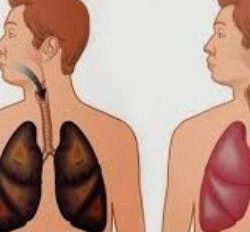 “سمو أمير منطقة جازان “يتفقد غدا مستشفى جازان العام والتخصصي