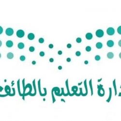 أعضاء من هيئة السياحة والترفية بزيارة تفقدية لمهرجان الفنون بالسيل الصغير
