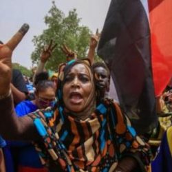 مهرجان البحر الأحمر السينمائي والتطوير العضوي
