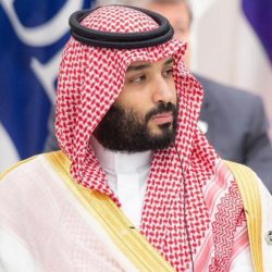 الصفا يفتقر للتعليم