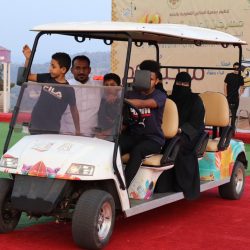 الالعاب النارية تُضيء سماء فعاليات وسام البادية بالمندق
