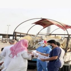 وزارة الحج والعمرة تحذر من التعامل مع المواقع الإلكترونية المشبوهة