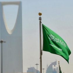 قاضي: إصدار 1.8 مليون تأشيرة إلكترونية لحجاج الخارج