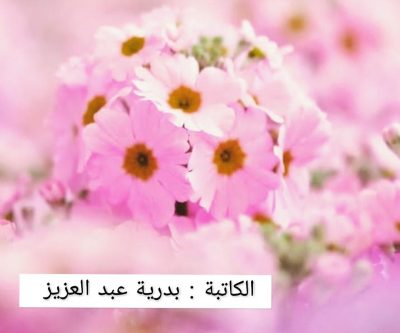 كيف حال حديثك ؟