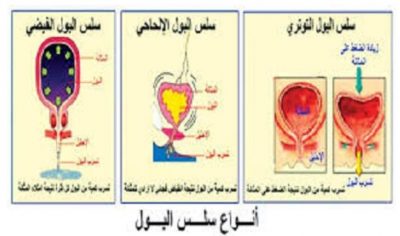 نصائح وطرق للتحكم والسيطرة على حالات السلس البولي