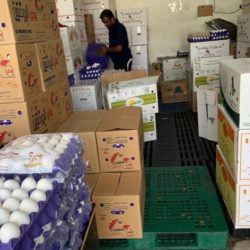 وزارة العمل والتنمية الاجتماعية تبدأ غداً في تنفيذ قرار حظر التدخين داخل أماكن العمل