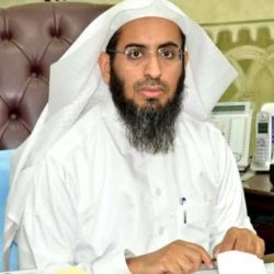 “البيئة”: 133 فرقة ميدانية تكافح 6500 هكتار من الجراد الصحراوي في 4 مناطق