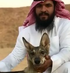 وزارة التعليم وسياسة التكديس والتوفير