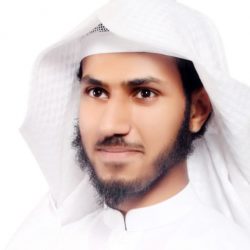وزير الطاقة يبحث مع نظيره الروسي تعزيز التعاون المشترك بين البلدين في قطاع الطاقة