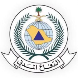 كشافة المملكة تُشارك في ورش عمل مسارات استراتيجية الكشافة العربية