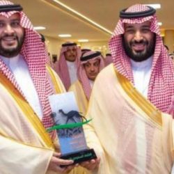 إعادة انتخاب مجلس إدارة لجنة التنمية الاجتماعية بالعرضية الجنوبية