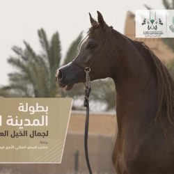 ريمونتادا جديدة لليفربول على ارسنال ويونايتد يُقسط تشيلسي!