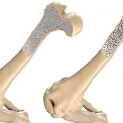 أمير الشرقية يدشن النسخة الخامسة من جائزة السائق المثالي