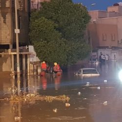 ترقية “الفيفي “إلى  المرتبة الثالثة عشر