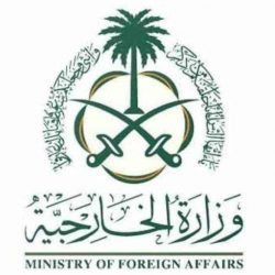 جامعة الدول العربية تصدر بيانا بشأن التدخل العسكري التركي في سوريا