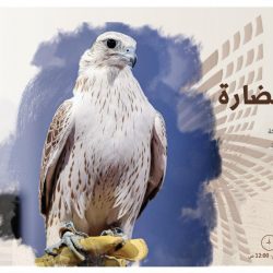 مدير ‎تعليم صبيا يحتفي ويكرم رئيس قسم شؤون المعلمين محمد عثاثي