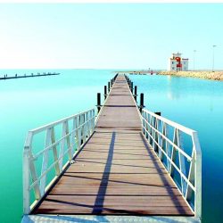 2468 مستفيد من مبادرة ساعة وطن في التجمع الصحي الأول بالمنطقة الشرقية
