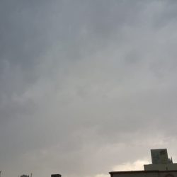 مجلس الوزراء يوافق إطلاق المنظومة الوطنية للتعامل مع المنتجات الحلال
