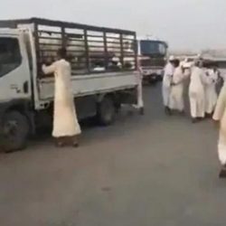 ألأمين العام لجامعة الدول العربية : العملية العسكرية التركية في سوريا “غزو وعدوان”