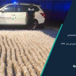 استقبال تعزيزات إضافية للقوات والمعدات الدفاعية في إطار العمل المشترك بين المملكة وأمريكا