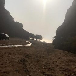 رئيس نادي الوطن يهنئ محبي النادي على استحقاق الوطن لدعم هيئة الرياضة