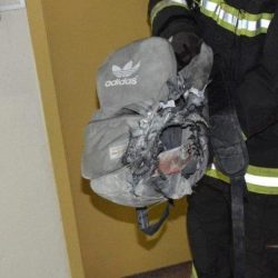 القيادة والوطن فوق كل الانتماءات