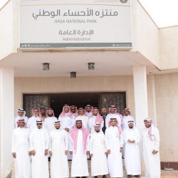 محافظة دومة الجندل تتزين بالدورات ،، وتقلص الإشارات بقيادة مهندسها العنزي