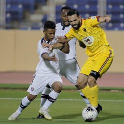 تايكوندو (فنون آسيا) بطلاً للغربية
