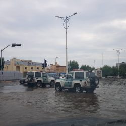 سمو أمير الباحة: ذكرى البيعة تمثل مرحلة الحزم والعزم في قيادة البلاد وإدارة شؤونها