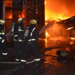 طالبة جامعية تثير الرعب بين زميلاتها بعد إحضارها ثعباناً في المدينة