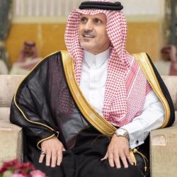 سمو أمير الباحة: ذكرى البيعة تمثل مرحلة الحزم والعزم في قيادة البلاد وإدارة شؤونها