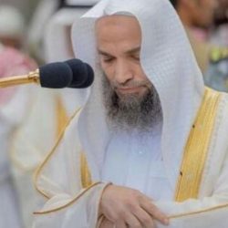 ورشة عمل احتياج محافظة بدر من الجمعيات الأهلية