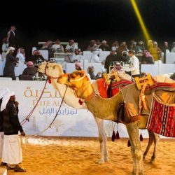 وكيل الامارة المكلف يعقد اجتماعاً موسعاً لدراسة العمل وتنسيق للخدمات الانسانية والتطوعية