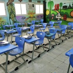 مذاكرات رجل حكيم ( الجزء الثالث)