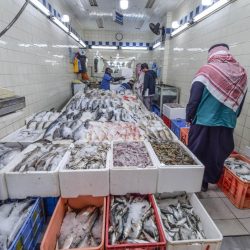 وزير الشؤون الإسلامية يؤكد أهمية القضايا التي سيبحثها مؤتمر الأزهر لتجديد الفكر الديني