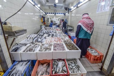 “البيئة” تضبط 1 طن و470 كيلو من الأسماك الفاسدة ومجهولة المصدر في الرياض