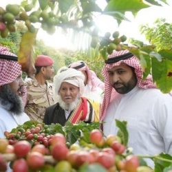 نبع الحنان