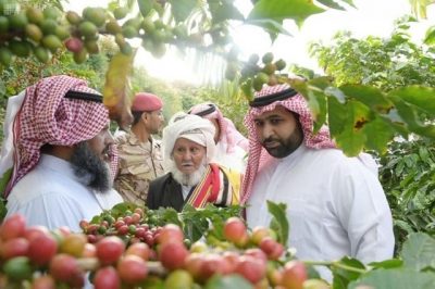 “جائزة الأمير محمد بن عبدالعزيز” تعزز الزراعة النموذجية للبن الخولاني