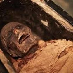 “رئيس هيئة حقوق الإنسان بجازان” يلتقي قائد حرس الحدود بالمنطقة