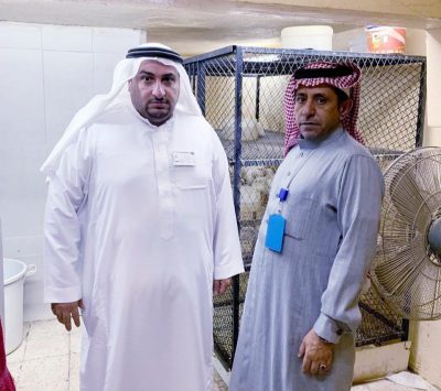 إغلاق مسلخ دواجن عشوائي بالمنتزهات