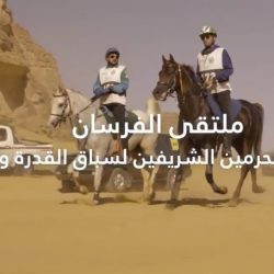 نانا السقا تحتفل بـ “إيقاع الزمن” في معرض القاهرة الدولي للكتاب
