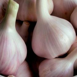 الجمعية الأولى تنظم مهرجان الشاي والقهوة
