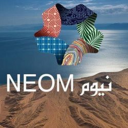 محافظ بيش يرأس اجتماع المجلس المحلي