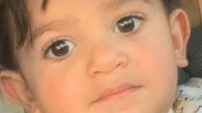 كلاب ضالة تنهش طفلاً حتى الموت