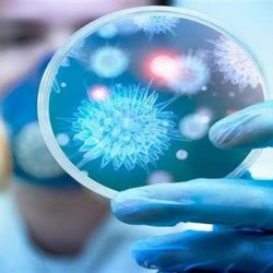 الغرفة التجارية بالمدينة المنورة تنظم ملتقى مستقبل الرؤية الثاني 2020م